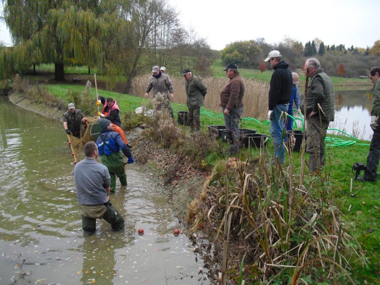 Ablassen des kleinen Teichs 2013 – Bild 4 von 14