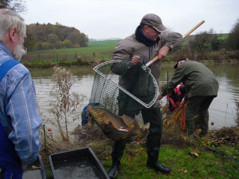 Ablassen des kleinen Teichs 2013 – Bild 6 von 14
