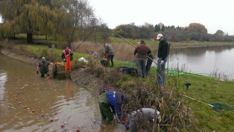 Ablassen des kleinen Teichs 2013 – Bild 9 von 14