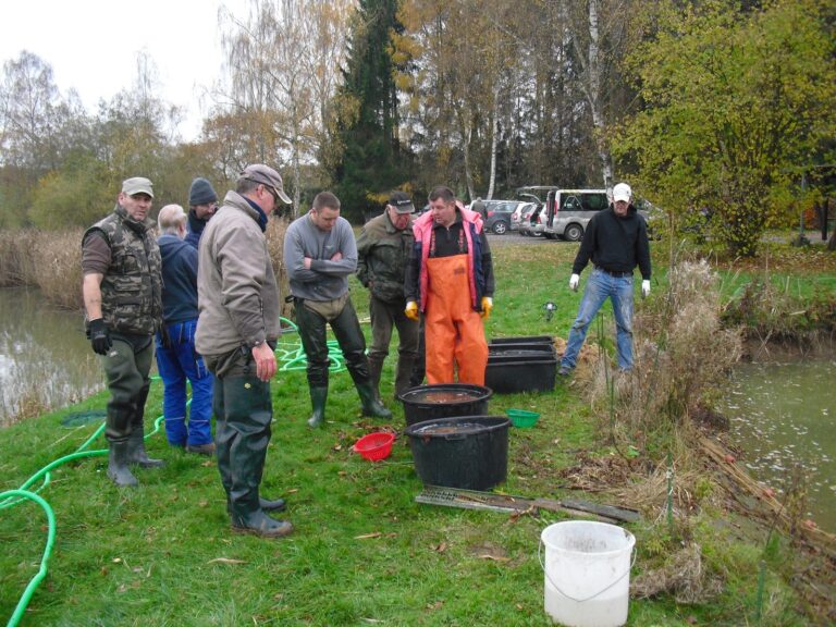 Ablassen des kleinen Teichs 2013 – Bild 10 von 14