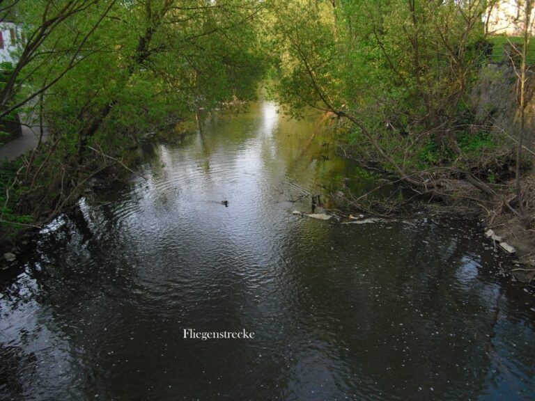 Der Elbbach bei Hadamar