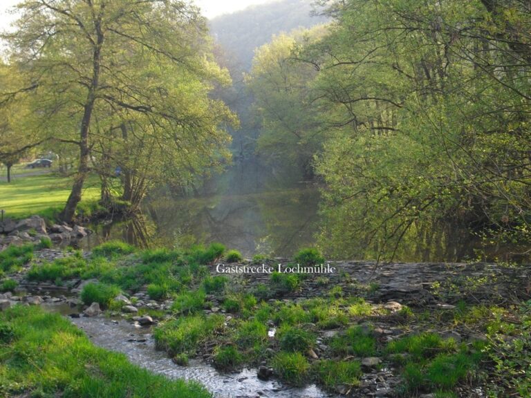 Der Elbbach in der Gaststrecke Lochmühle – Bild 9 von 15