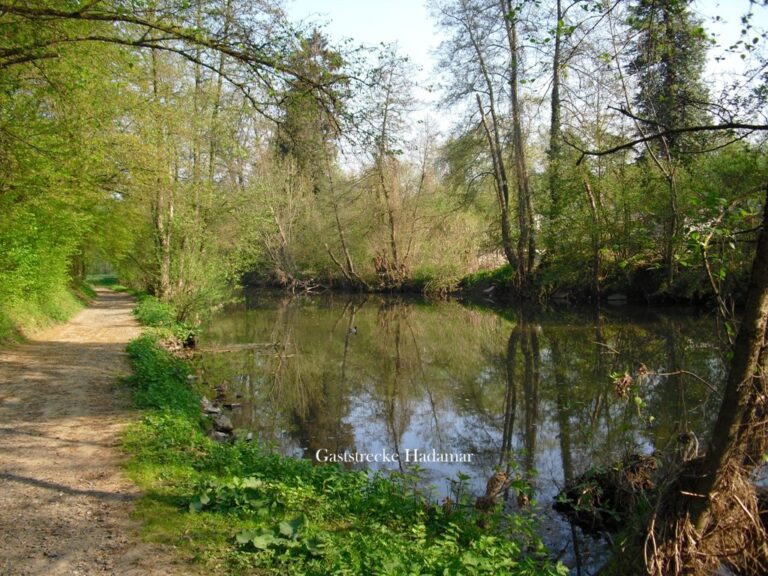 Der Elbbach in der Gaststrecke Hadamar – Bild 14 von 15