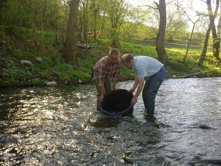 Fischbesatz am Vereinsgewässer – Bild 6 von 9