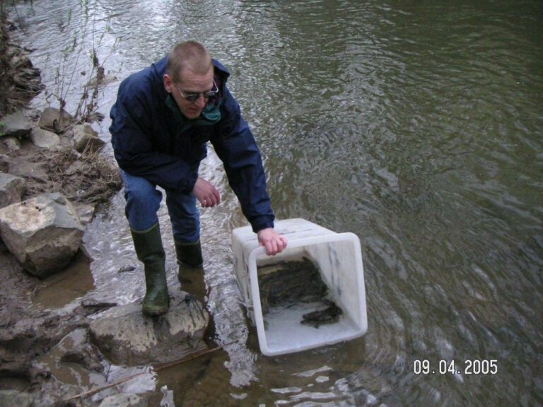 Fischbesatz am Vereinsgewässer – Bild 7 von 9