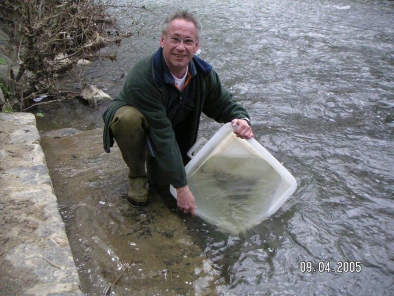 Fischbesatz am Vereinsgewässer – Bild 9 von 9