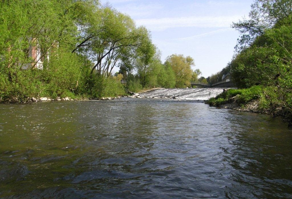 Der Elbbach bei Hadamar: ruhiges Wasser zwischen dicht bewachsenen Ufern, dahinter ein überströmtes Wehr und eine Steinbogenbrücke.