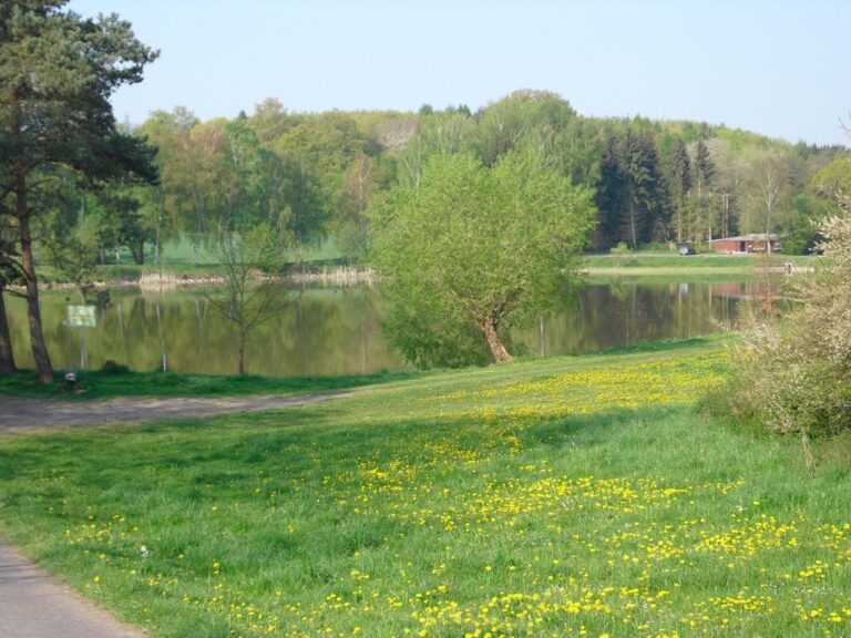 Vereinsgewässer Weihersbach – Bild 1 von 7