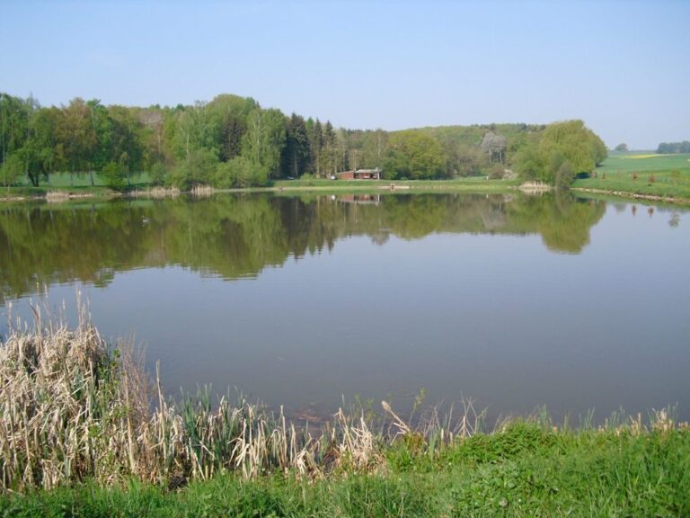 Vereinsgewässer Weihersbach – Bild 2 von 7