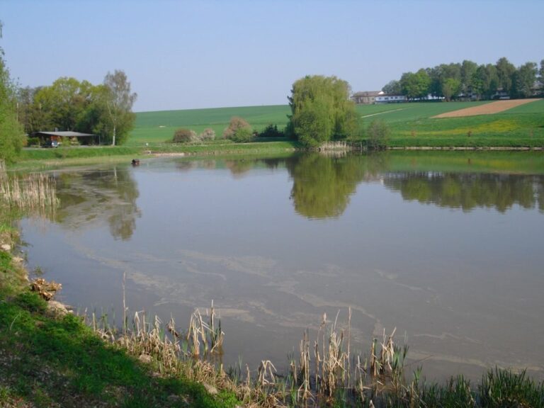 Vereinsgewässer Weihersbach – Bild 3 von 7