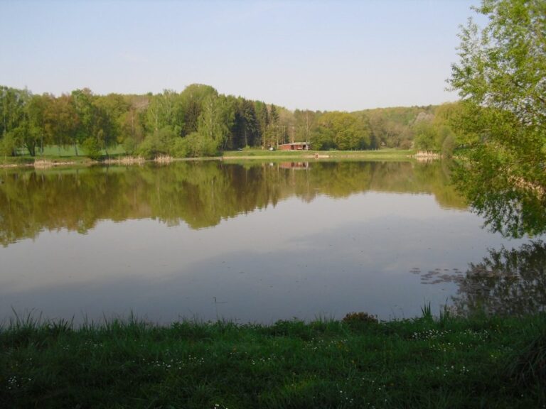 Vereinsgewässer Weihersbach – Bild 4 von 7
